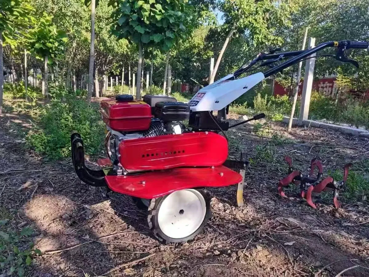 Organic Farming Of Agriculture - Offre Spéciale : Meilleur Motoculteur Agricole