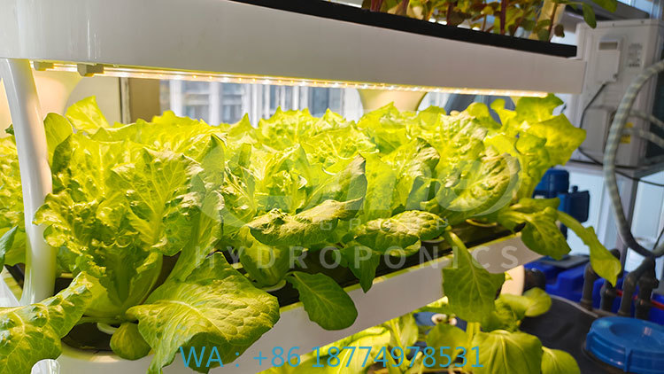 Agriculture Farming System - c Machine agricole pour cultiver lactée