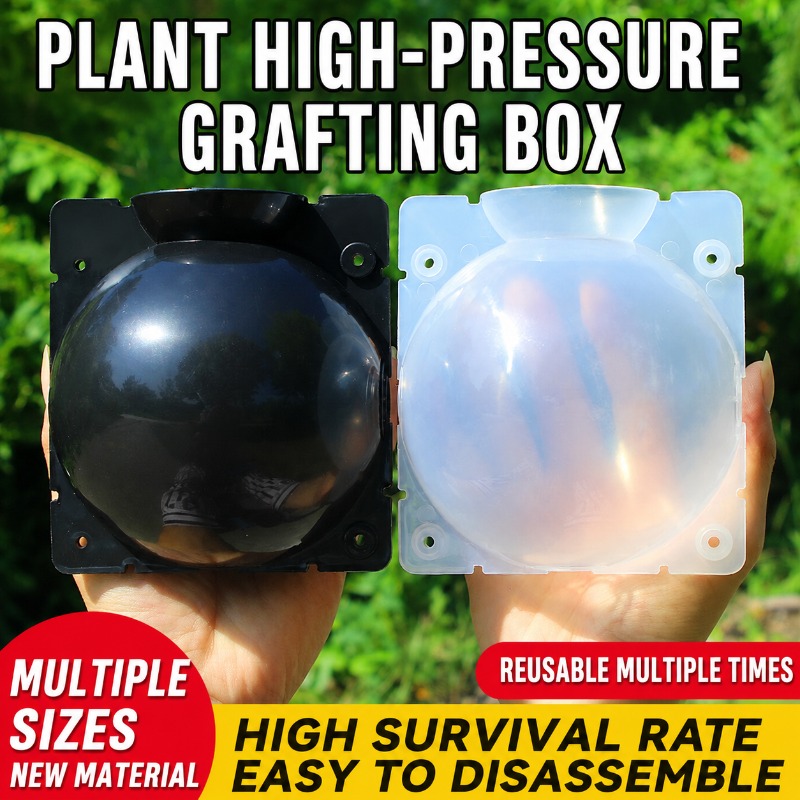 Plant Growth Regulator - Kit de propagation de plantes 10
