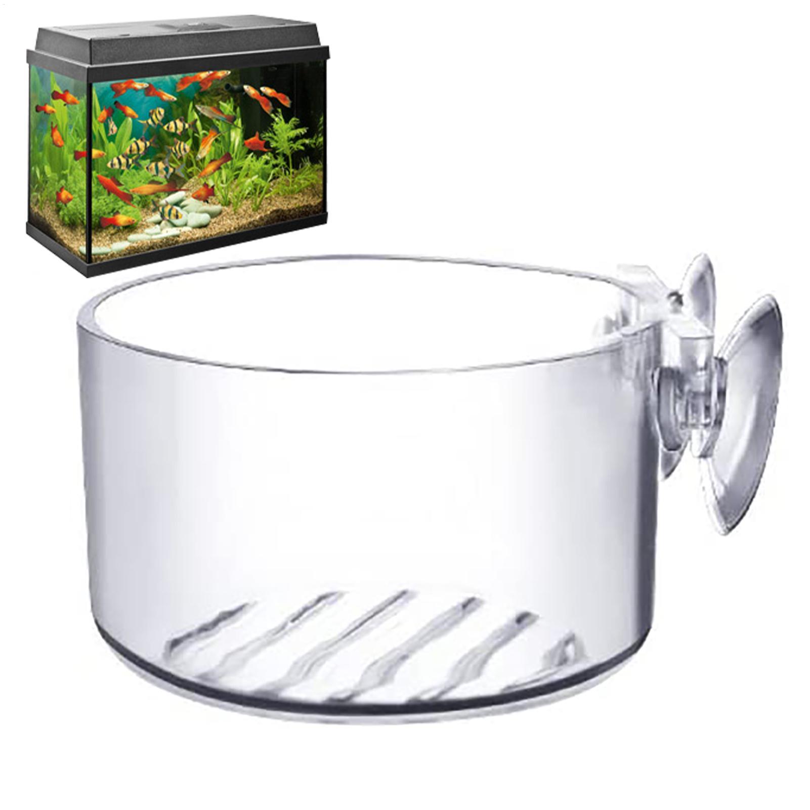 Plant Growth Regulator - Pot pour plantes aquatiques en acrylique