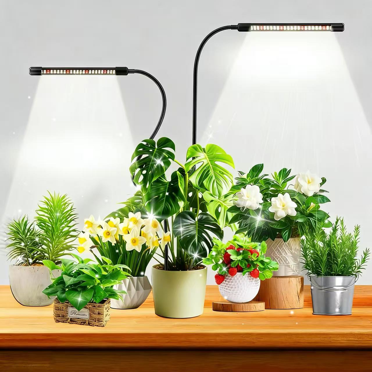 Plant Growth Regulator - Lampes de culture à 48 LED