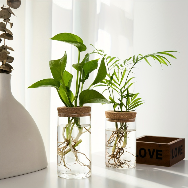 User inière en verre pour plan - Plant Growth Regulator avis et prix