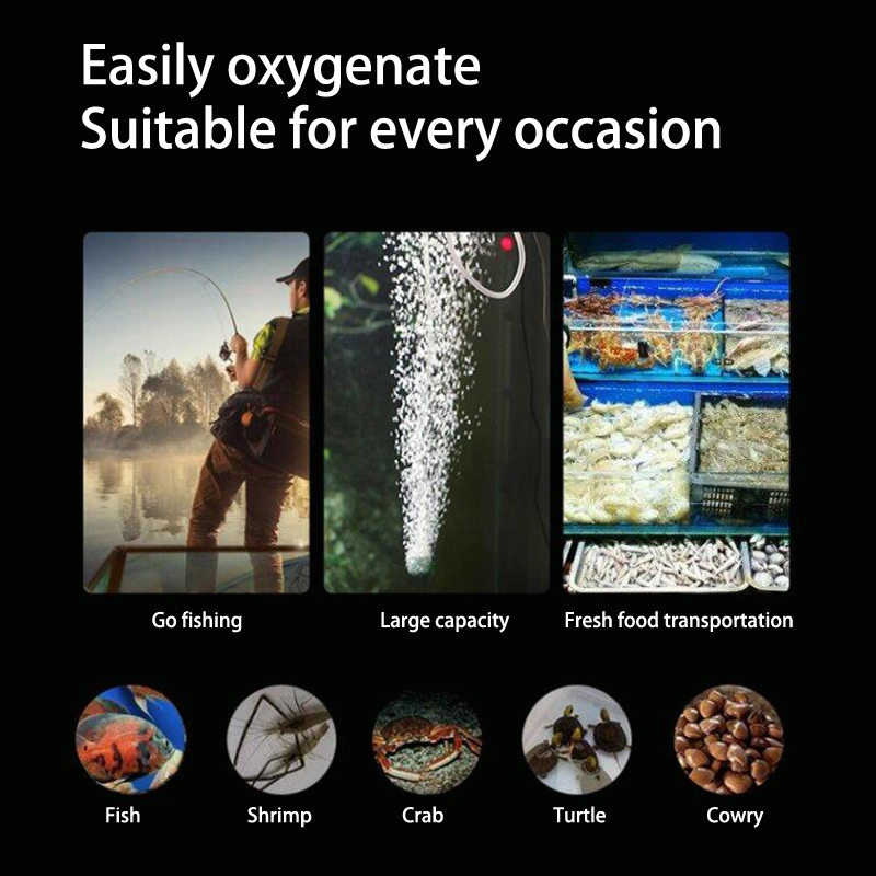 Kit de mini pompe à oxygène po - Aquaculture Aerator Pump avis et prix