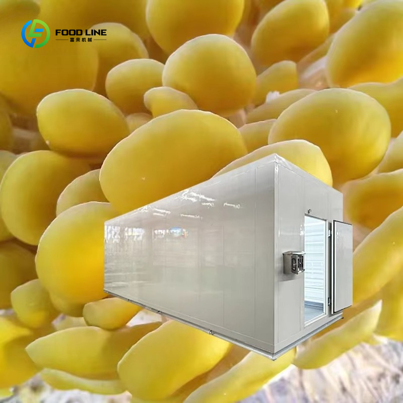 Système de culture de champign - Agriculture Farming New Technology avis et prix