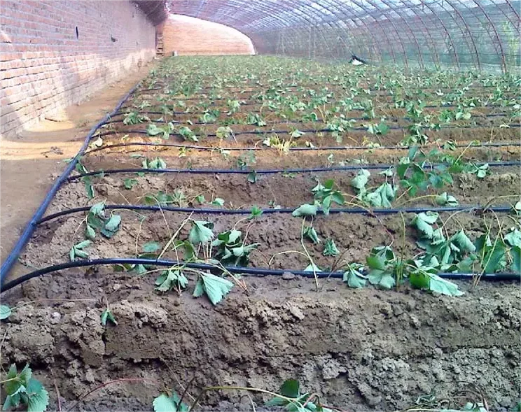 Kit d'irrigation 1HA, outil ag - Agriculture Farming System avis et prix