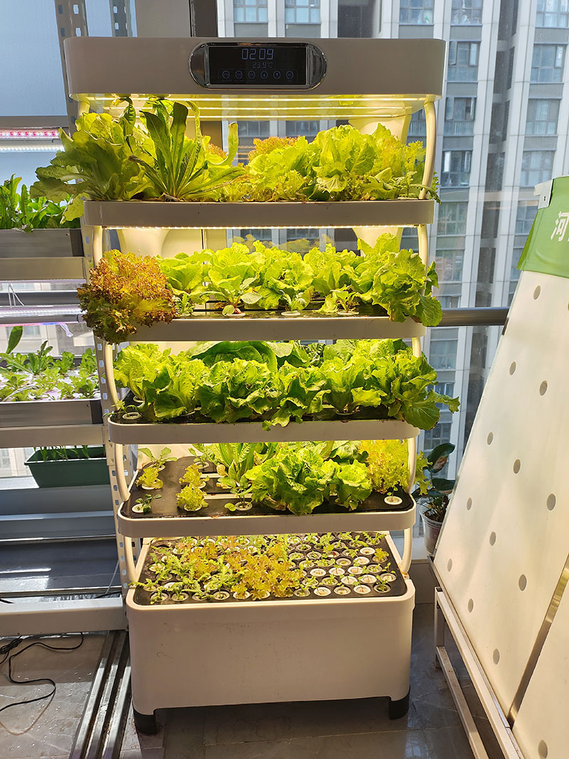 c Machine agricole pour cultiv - Agriculture Farming System avis et prix