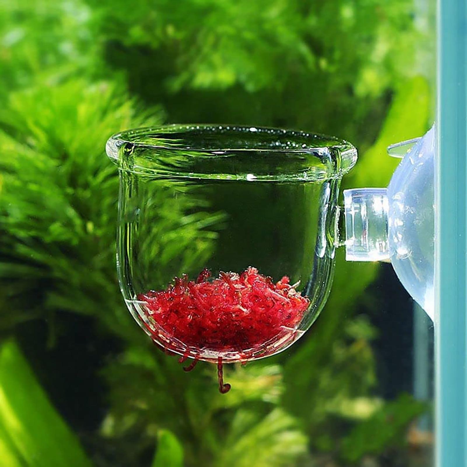 Pot de plantes aquatiques en a - Plant Growth Regulator avis et prix