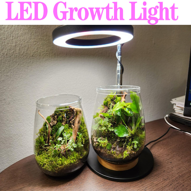 Lampe horticole de croissance  - Plant Growth Regulator avis et prix