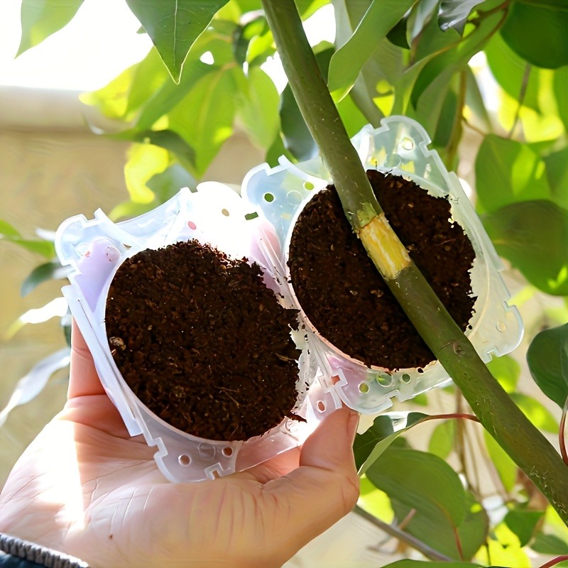 Kit de propagation de plantes  - Plant Growth Regulator avis et prix